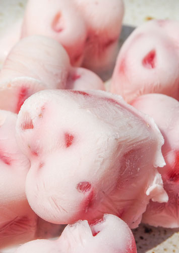 DIY Frozen Joghurt mit Erdbeeren