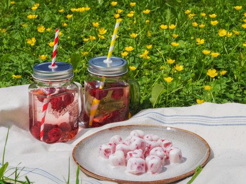 DIY Erdbeeren Frozen Joghurt selbst machen